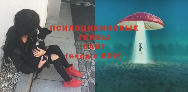 ECSTASY Алзамай